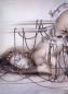 Preview: The Gynoids Genetically Manipurated von Hajime Sorayama - nicht jugendfrei