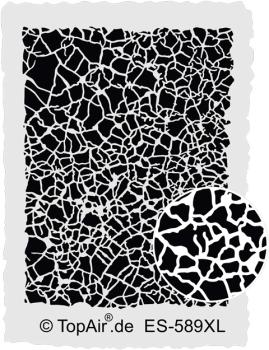 ES-589 XL Dick Krakelee  © TopAir