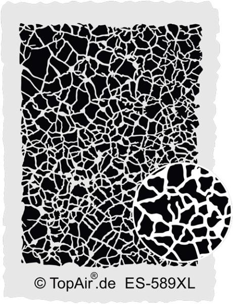 ES-589 XL Dick Krakelee  © TopAir