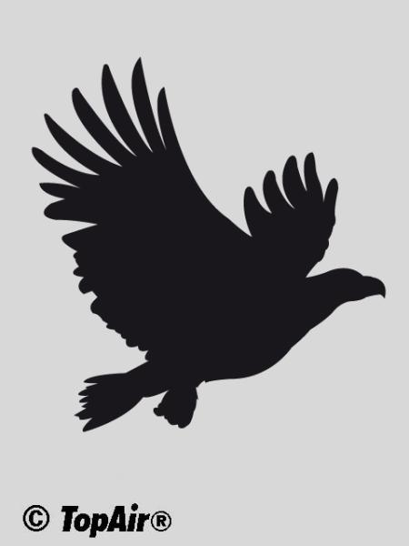 Schablone TA-278 Adler aus dünnem, strapazierfähigem Kunststoff    © TopAir