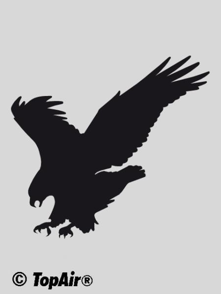 Schablone TA-283 Greifvogel aus dünnem, strapazierfähigem Kunststoff    © TopAir