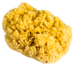 Natur Schwamm Größe 6