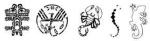 Medea BodyArt Schablonen-Set NBD-357 Aktion